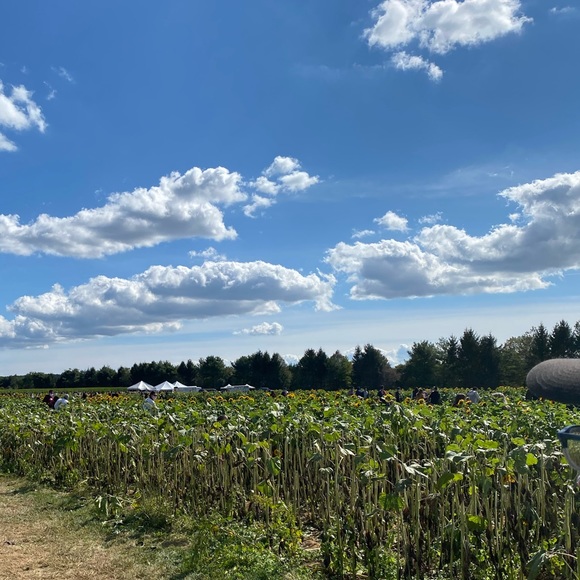 Meet your Posher, Mallory - Picture 1 of 1